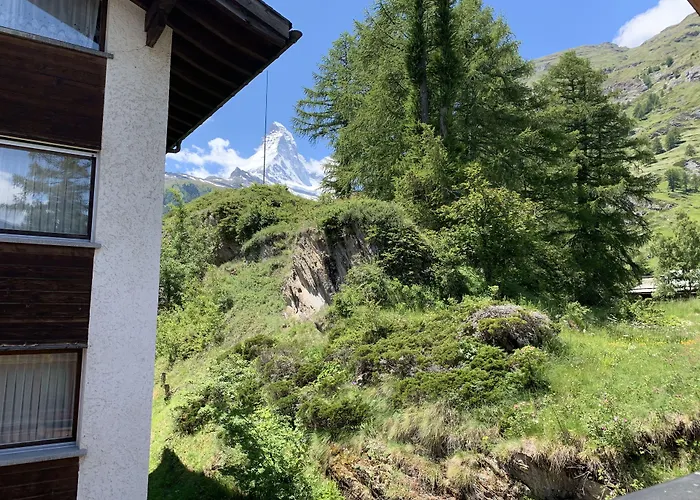 Paradies * زيرمات